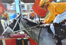 Ben Thompson guides Mistressofillusion to victory at Doomben