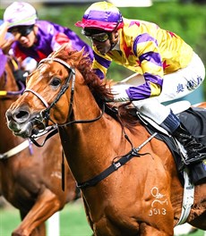 Orman posted his first Hong Kong win aboard Charming Babe for trainer Ricky Yiu at Happy Valley in only his fourth ride after moving to Hong Kong