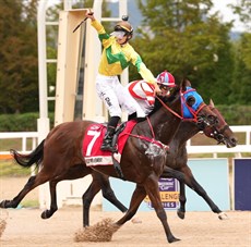 Self Improvement wins under an elated Jerry Chau in South Korea.