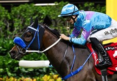 Lo Rider seals a quartet for Caspar Fownes.