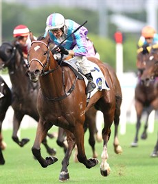 Hugh Bowman (above) and Brenton Avdulla  (below) amongst the winners in a race affeceted meeting at Sha Tin