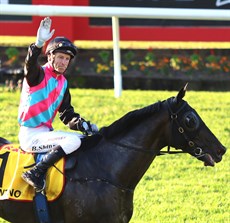 Antino

Photo: Graham Potter