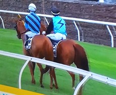 How good! The Melham's, Ben and Jamie, in the pull-up after the Cup finish sharing a quiet moment together before the media storm descended on the winning rider

Photos: Channel 9