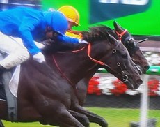 Ceolwulf and Pericles (above and below) ..  whichever way you look at it there is plenty to talk about in this finish