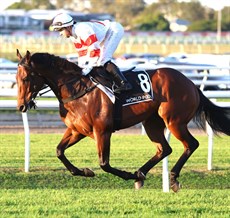 Cifrado

Photo: Graham Potter