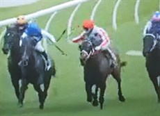 Anthony Allen (in blue) and Danny Peisley (red cap) had to deal with an unusual whip issue midrace at the Gold Coast