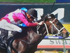 Drakaina lands the Jungle Mist Classic 