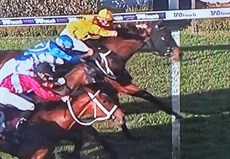 So near and yet so far. Cosmic Crusader (in the cerise colours) has to settle for third place in the RJ Peters

Photos: Sky Racing
