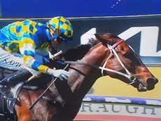 Joker's Grin

Photo; Sky Racing