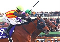 Rachel King makes history in Japan aboard Costa Nova

Photos: Hong Kong Jockey Club