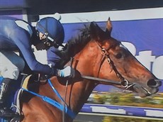 Luana Miss

Photo: Sky Channel