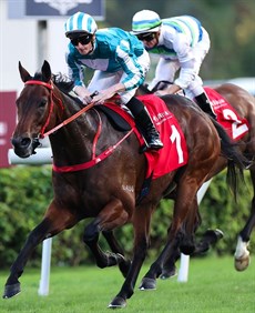 Too easy.

Photos: Hong Kong Jockey Club