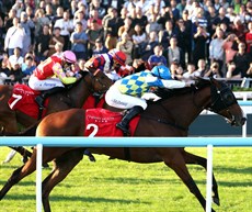 Photos: Hong Kong Jockey Club