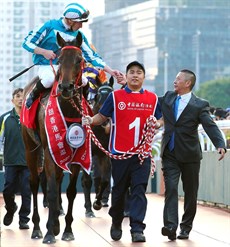 Romantic Warrior

Photo: Hong Kong Jockey Club