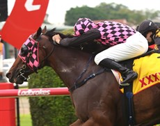 Photos: Graham Potter