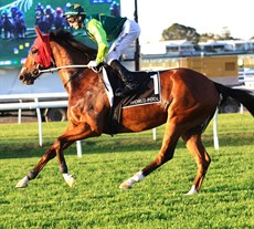 Photos: Darren Winningham and Graham Potter