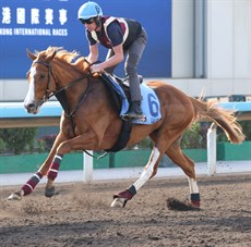 Photos: Darren Winningham