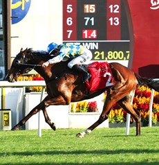 Photos: Hong Kong Jockey Club</b.