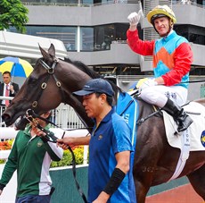 Some sights you have seen before that never get old ... and sights which you are likely to see them again on Sunday. 

Purton brings Ka Ying Rising back to scale a winner (above) and McDonald does the same on Romantic Warrior 
