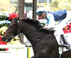 Photo: Darren Winningham