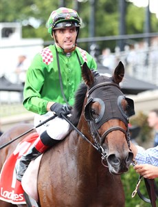 Cool Archie

Photo: Darren Winningham