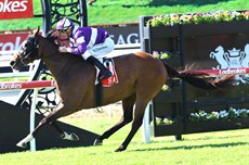 Photos: Darren Winningham