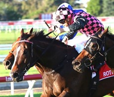 Photos: Darren Winningham</b.