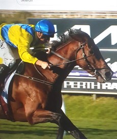 Apulia

Photos: Perth Racing