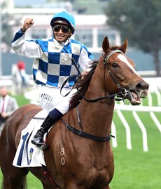 Teetan and Storm Rider

Photo: Hong Kong Jockey Club