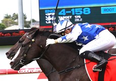 Photos: Graham Potter