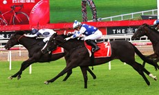 Amor Victorious (above and below) - 27/12/25