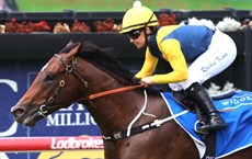 Warwoven (top and bottom) - 03/01/26