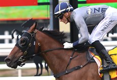 Hell

Photos: Graham Potter