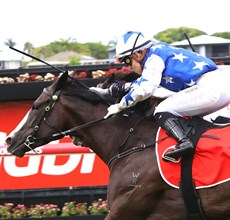 Cejay Graham and Miss Joelene

Photos: Ross Stevenson and Graham Potter