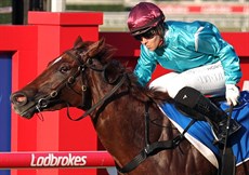 Cejay Graham and Foreign Press