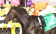 Photos: Graham Potter