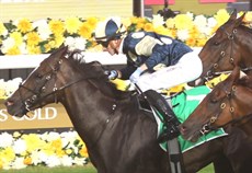 Photos: Graham Potter