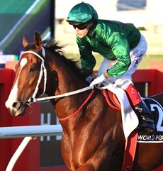 Far Too Easy

Photos: Graham Potter