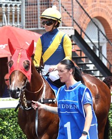 Warwoven

Photo: Graham Potter