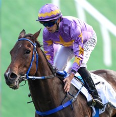 Little Paradise and Vincent Ho storm to victory in the Hong Kong Classic Mile