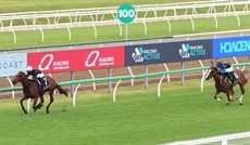 Toorak Jewel crushes the opposition in The Debut