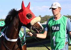 Baccarat Rouge ... a winner at Ipswich on 06/03/26

Photos: Graham Potter and Darren Winningham
