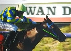 ,b>Photos: Racing WA