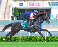 Photos: Darren Winningham and the Hong Kong Jockey Club

Photo: Hong Kong Jockey Club</b.