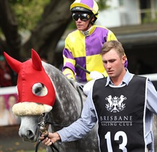 Trusty Bandit ... he made in two wins from his last three starts when he won for the second time in a row at Kilcoy