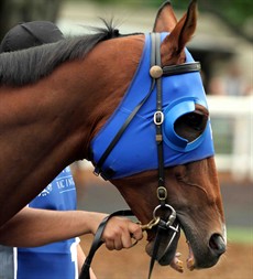 Buffering