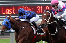 Buffering about to succumb to the challenge of Famous Seamus in the BTC Cup