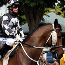 'Approaching and rounding the home turn King Kamada was held up for clear running,' ... before finishing fourth 0.70 lengths behind the winner.
