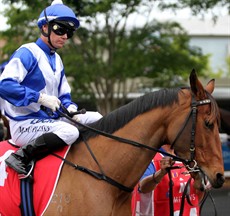 Telepathic, which had undergone treatment for a minor skin infection on the off-foreleg and was examined by the veterinary surgeon on Thursday, was again examined on race-day morning for minor heel bruising in the off-foreleg and was passed fit to start by the veterinary surgeon.' Telepathic finished second 0.40 lengths behind Amexed