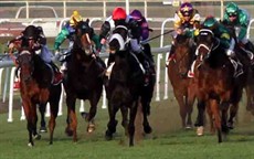 Consideration was given to a protest lodged by R. Wiggins, the rider of 5th placegetter PRETTY PINS (yellow cape second from left), against MR O'CEIRIN (B. Shinn) (black cap left of picture) being declared 4th, alleging interference from the 300m to the 200m. On the evidence it was established that from the 300m MR O'CEIRIN commenced to shift out whilst being ridden along and at all stages whilst doing so carried PRETTY PINS wider. As the stewards were of the view that PRETTY PINS was inconvenienced by the shift, bearing in mind the half head margin, stewards upheld the protest